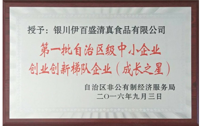 第一批自治區級中小企業創業創新梯隊企業（成長之星）