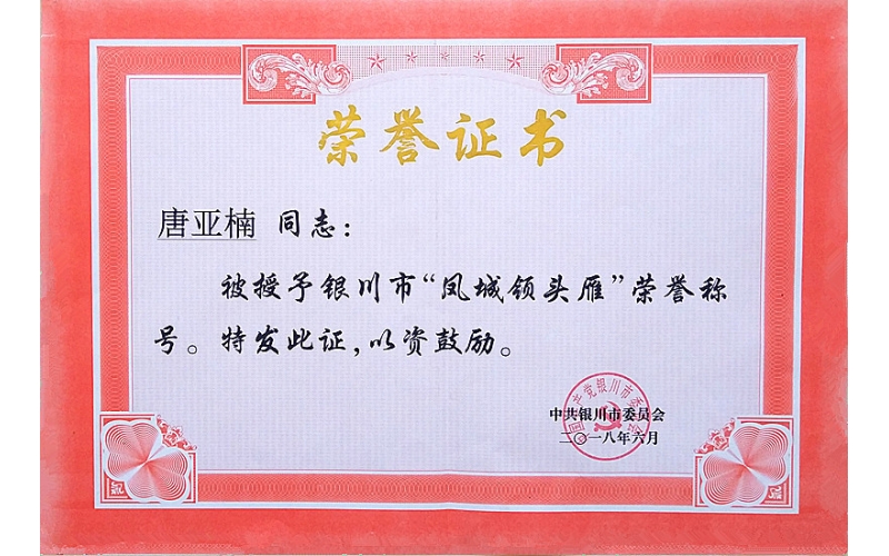 唐亞楠被授予銀川市“鳳城領(lǐng)頭雁”榮譽稱號